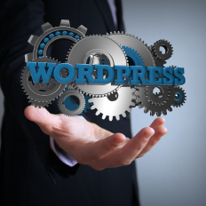 The Pros and Cons of Using WordPress for eCommerce